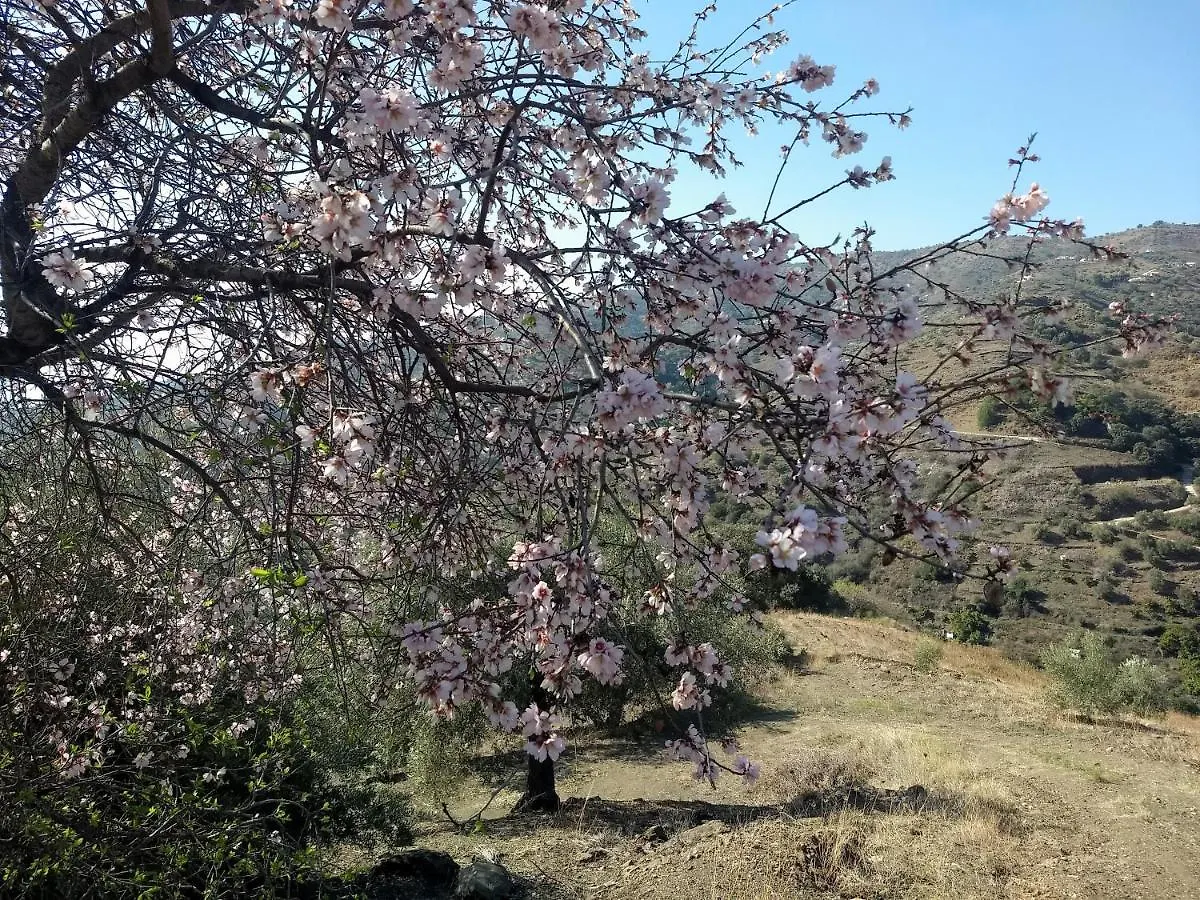 Holiday home Casa Trigo Villa Competa